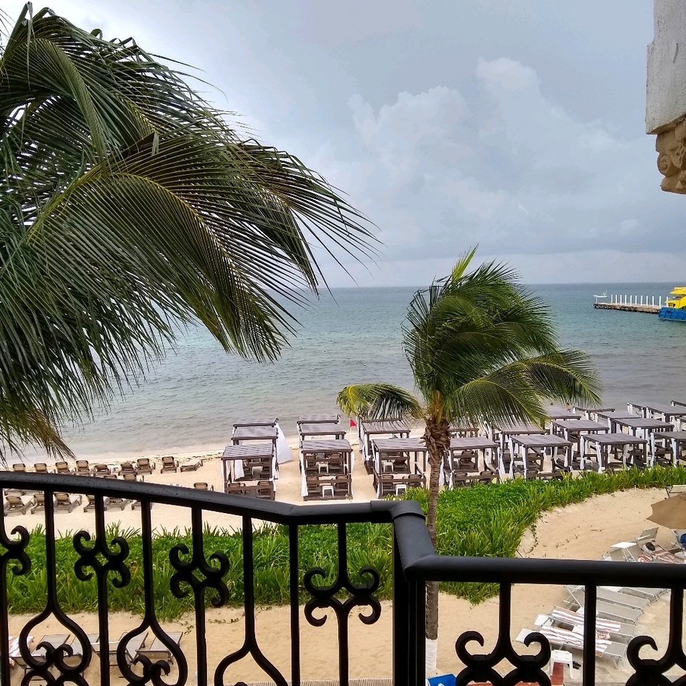 Meet your Posher, Desiree